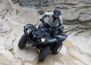 Yamaha Grizzly